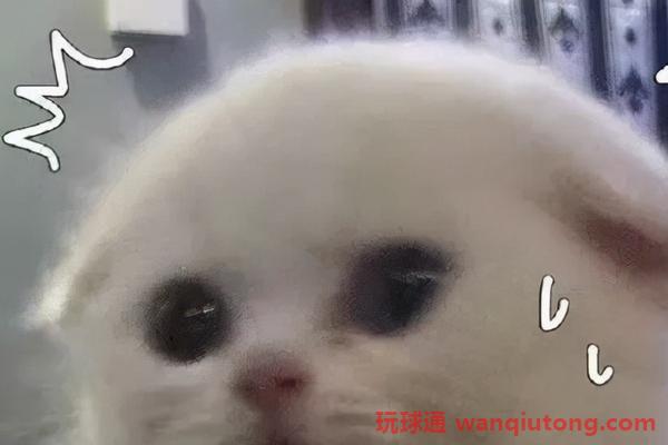 花费近万元考证，最终为何成了“韭菜”？(图4)