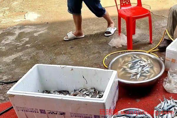 0多名被骗的中国人滞留柬埔寨过春节:有人被持枪绑走不参与行骗就遭毒打,有人被诈骗公司折磨精神出现异常"